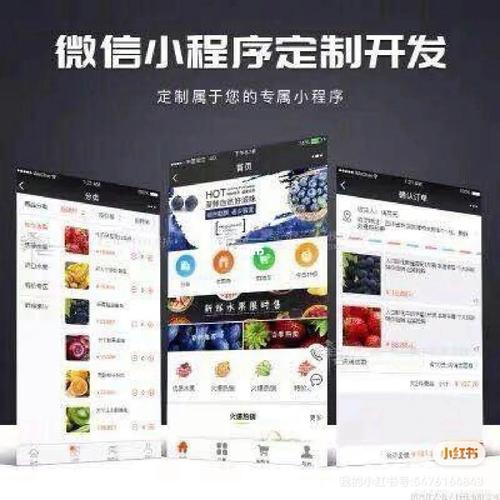 专业开发网站小程序app定制