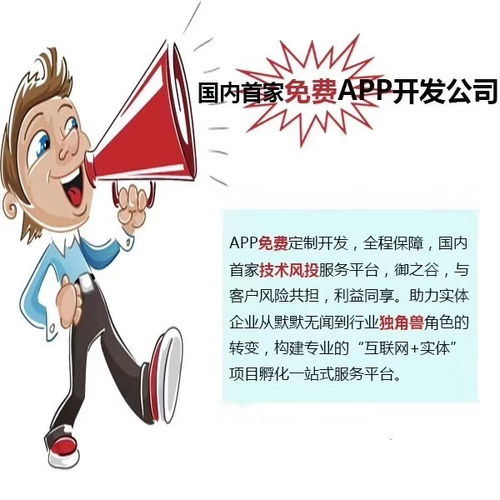 app软件开发 线上商城定制 网站建设及优化