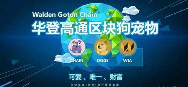 区块狗app开发定制系统
