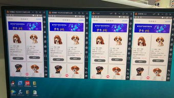 区块猫 狗区块链宠物街app开发