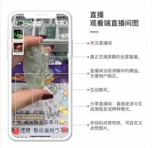 直播系统开发91短视频系统开发 专业开发,质量保证