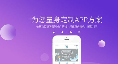 报单系统定制与高性价比商城网站及APP开发