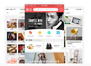 二次元主题聊天应用及商城系统定制开发方案